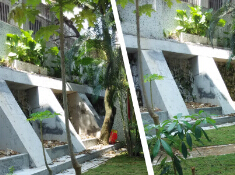 竹林小學邊坡加固